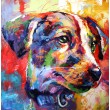 Jack Russell